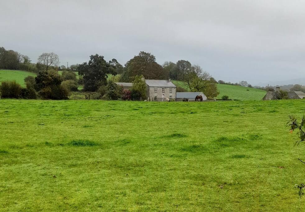 The Hollow Tullow Exterior photo
